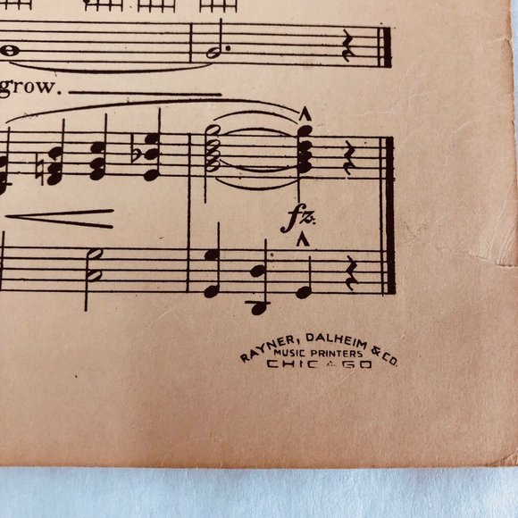 1926 Where The Red Roses Grow Lillian Dawson Henry Akst Vintage Sheet Music Weil - Picture 11 of 12